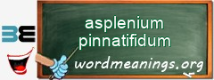 WordMeaning blackboard for asplenium pinnatifidum